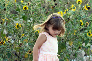 sunflowergirl